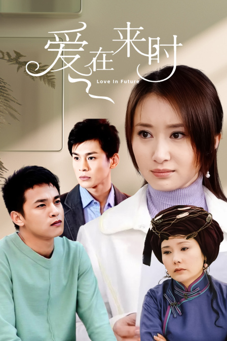 爱在来时(2009)海报