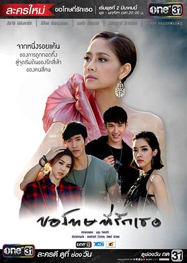 泰版对不起,我爱你国语(2016)海报