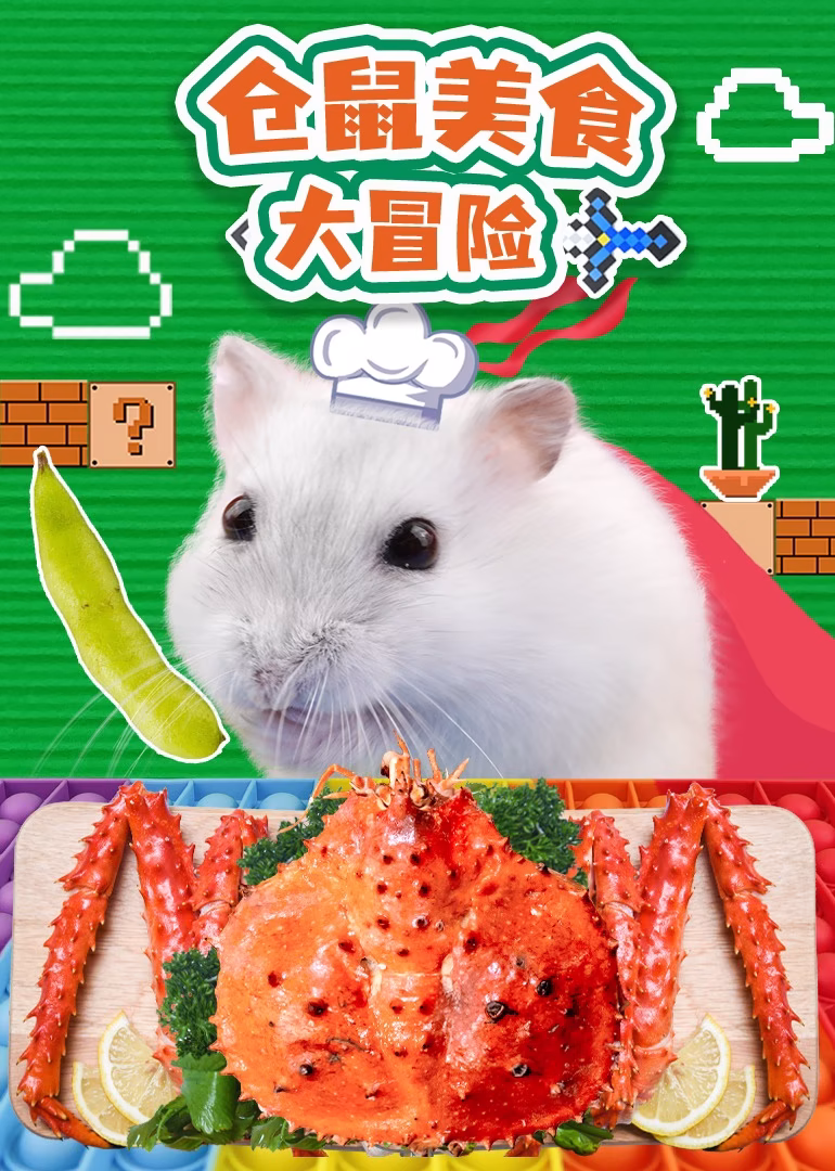 仓鼠美食大冒险(2024)海报