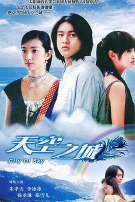 天空之城2004(2004)海报