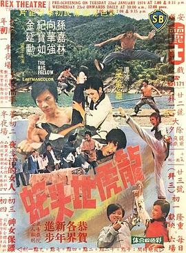 龙虎地头蛇(1973)海报