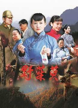 野茱萸(2009)海报