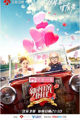 新相亲时代(2018)海报