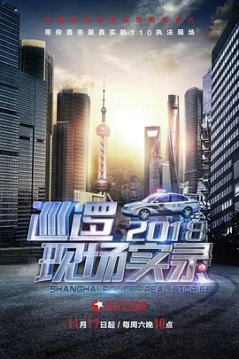 巡逻现场实录2018(2018)海报
