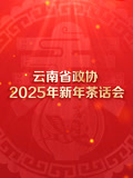 云南省政协2025年新年茶话会文艺演出(2025)海报