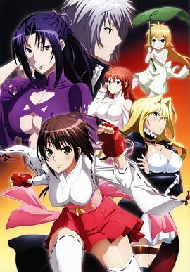 鹡鸰女神第二季(2008)海报