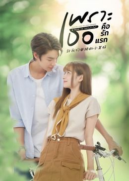 致我们单纯的小美好 普通话版(2024)海报