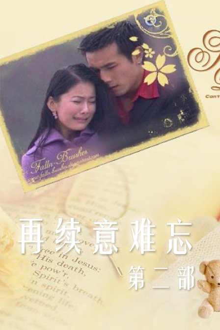 再续意难忘第二部(2009)海报