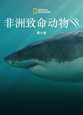 非洲致命动物第七季(2021)海报