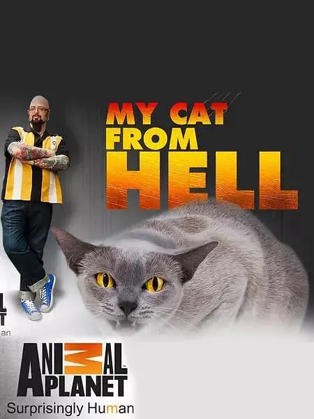 家有恶猫 第七季(2016)海报