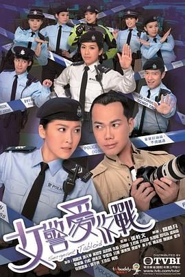 女警爱作战(2012)海报
