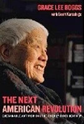 美国革命家：陈玉平的演进(2013)海报