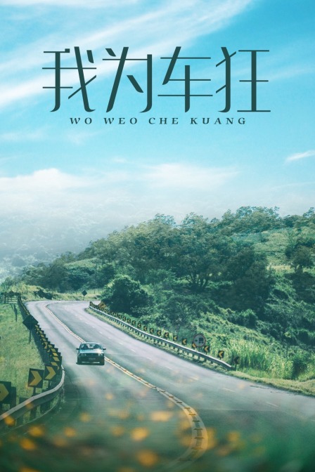 我为车狂(2010)海报
