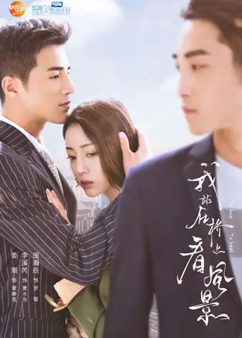 我站在桥上看风景DVD版(2018)海报