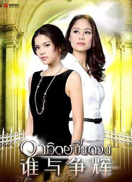 征服太阳国语(2009)海报