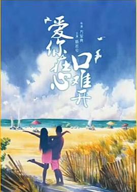 爱你在心口难开(2001)海报