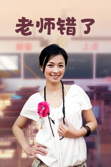 老师错了(2014)海报