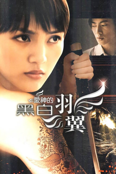 爱神的黑白羽翼(2009)海报