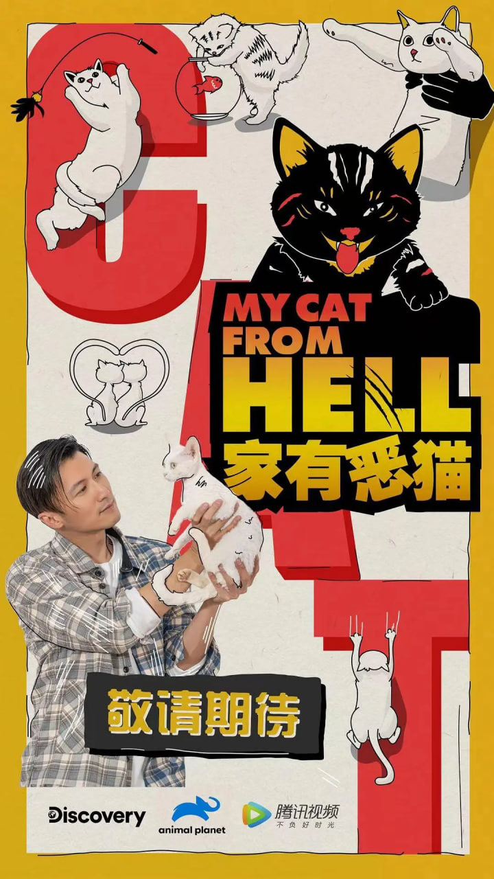 家有恶猫(2021)海报