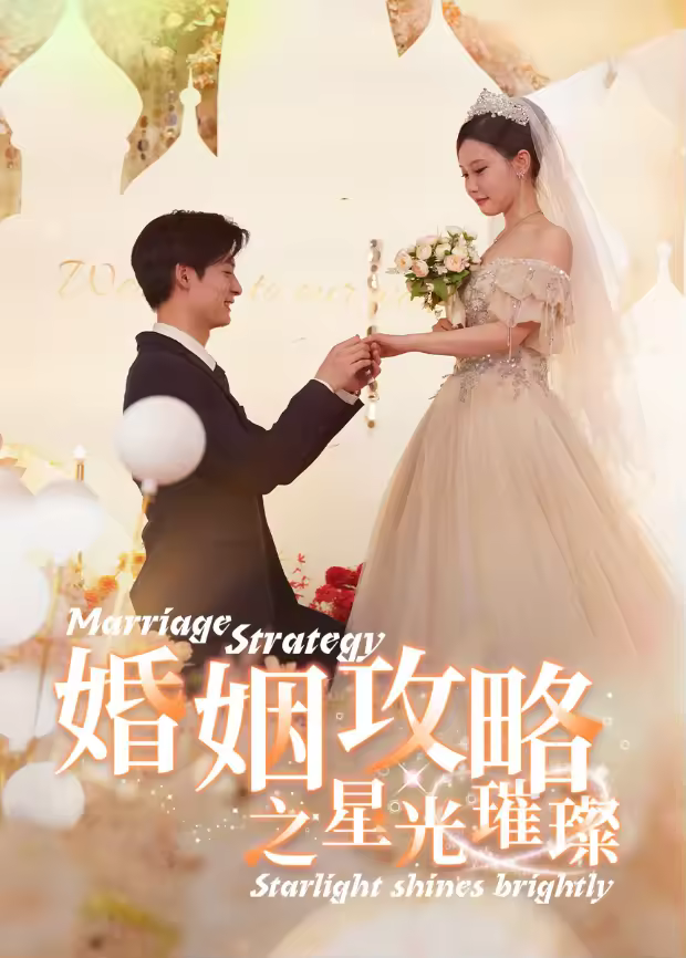 婚姻攻略之星光璀璨海报