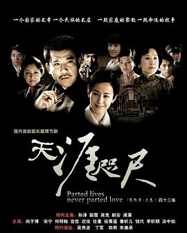 天涯咫尺2008(2008)海报