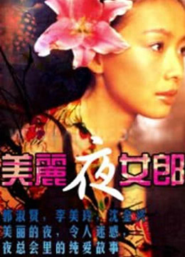 美丽夜女郎(1996)海报