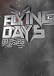 Flying Days2010(2010)海报