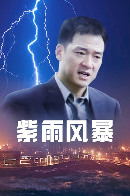 紫雨风暴(2013)海报