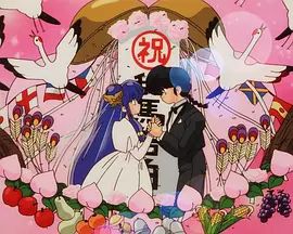乱马1/2:OVA 珊璞暴变—反转宝珠之祸(1993)海报