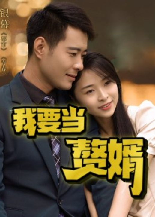 我要当赘婿海报