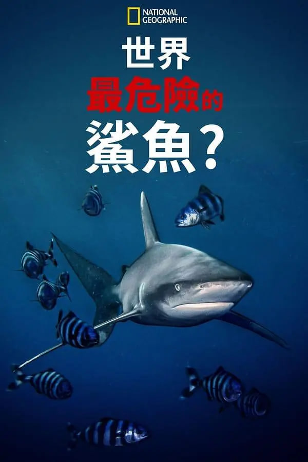 世上最危险的鲨鱼(2021)海报
