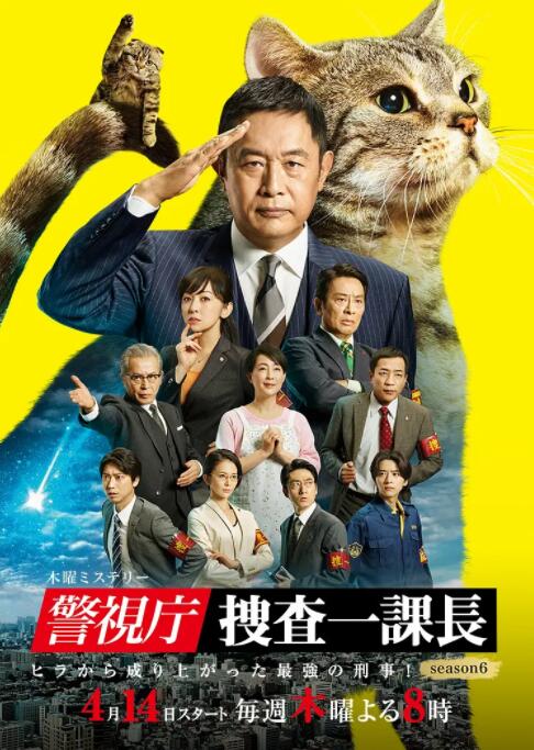 警视厅·搜查一课长 第六季(2016)海报