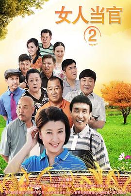 女人当官2(2015)海报