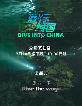 潜行中国(2020)海报