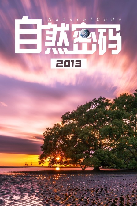 自然密码2013(2013)海报