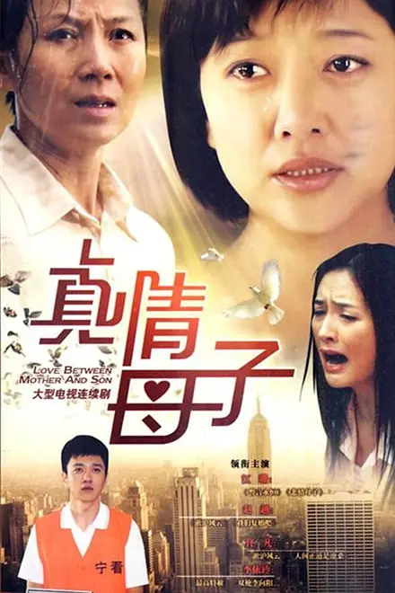 真情母子(2003)海报