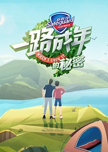 一路成年的秘密(2019)海报
