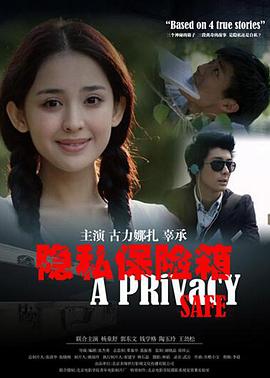 隐私保险箱(2013)海报