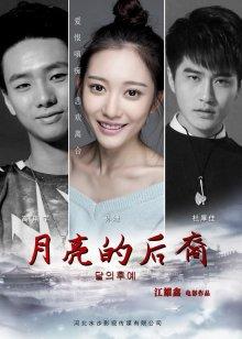 月亮的后裔(2016)海报