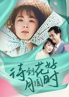 待到花好月圆时(1996)海报