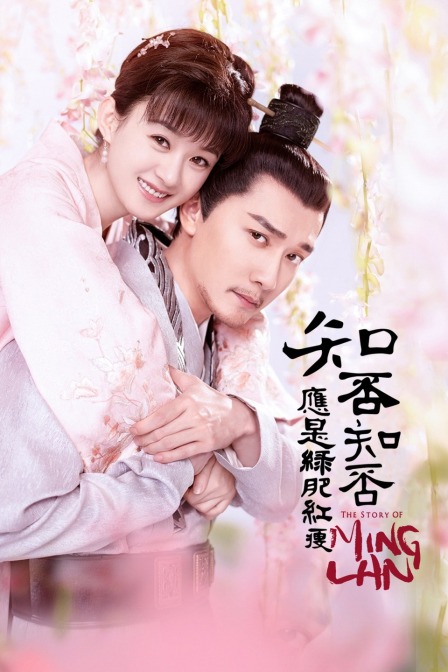 知否知否应是绿肥红瘦TV版(2018)海报