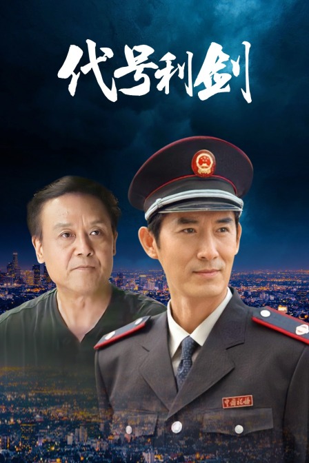 代号利剑(2017)海报