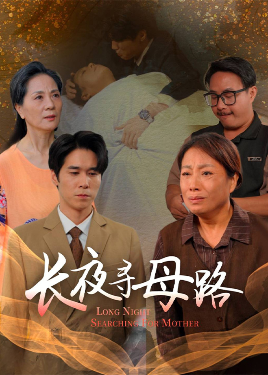 长夜寻母路海报