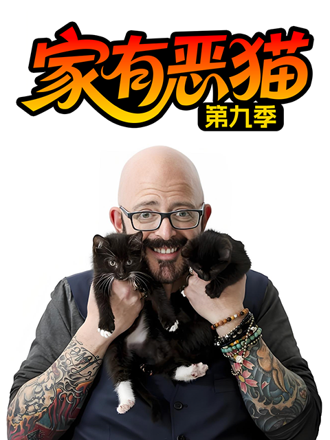 家有恶猫第九季(2026)海报