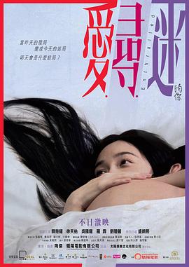 爱寻迷粤语(2014)海报
