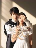 看不见的爱人(2025)海报