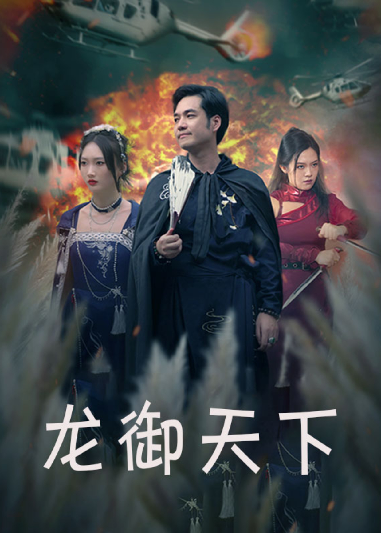 龙御天下海报