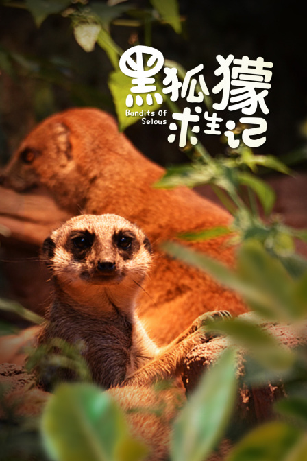 黑狐獴求生记(2022)海报