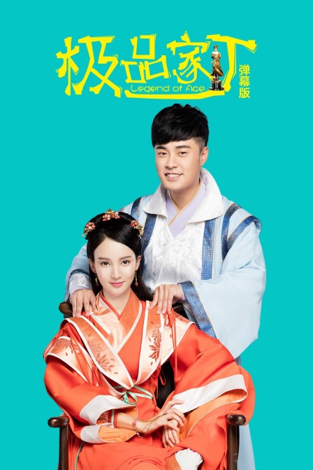 极品家丁 弹幕版(2016)海报