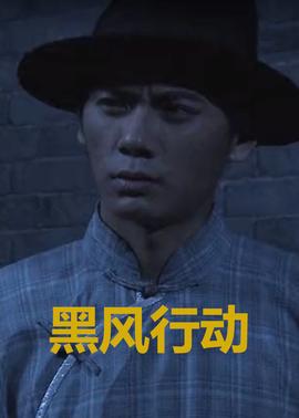 黑风行动(2011)海报